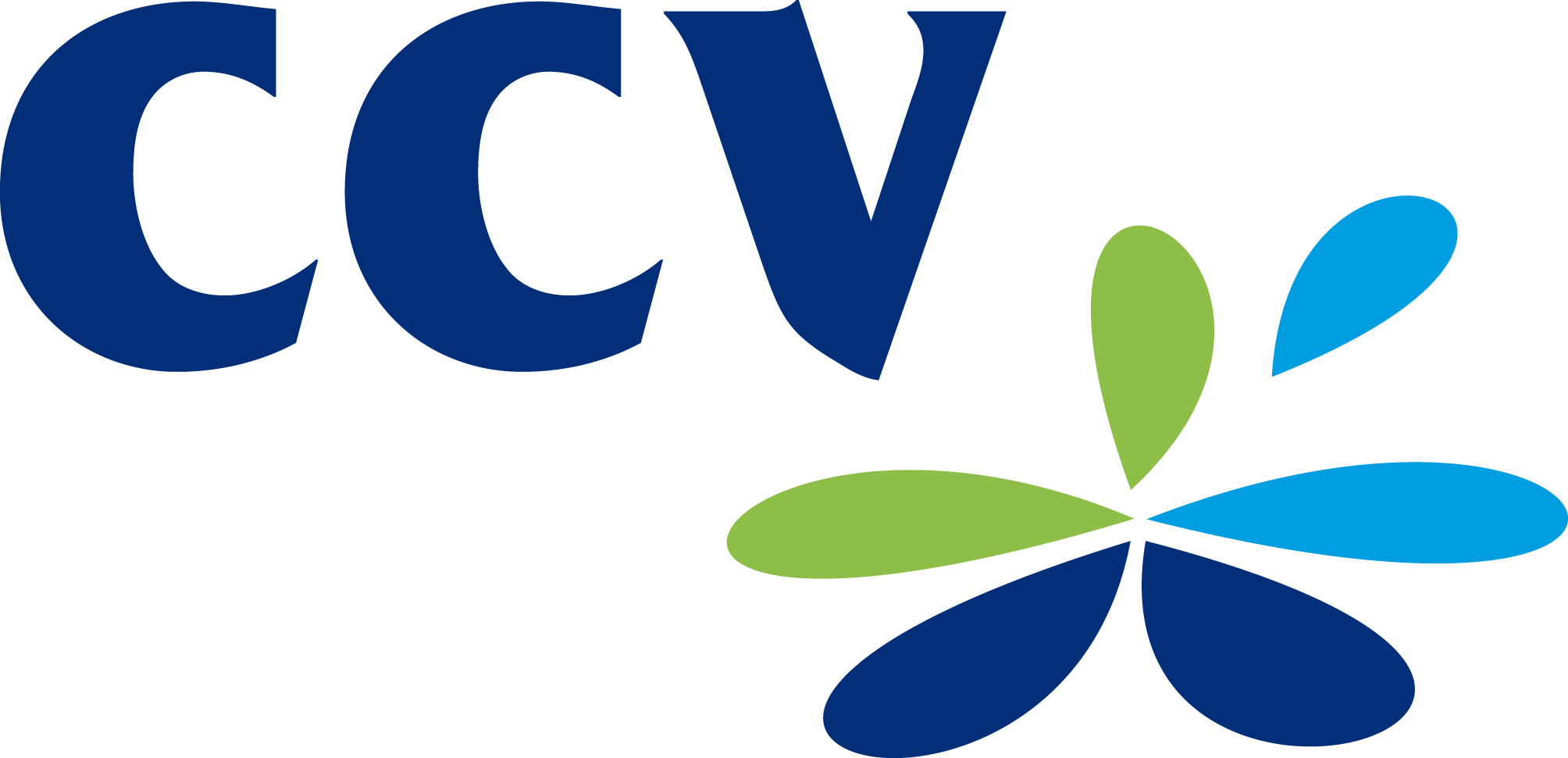 CCV Services B.V.